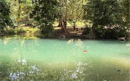 สระน้ำสีเขียวมรกตกลางป่าที่ถ้ำสระแก้ว กระบี่